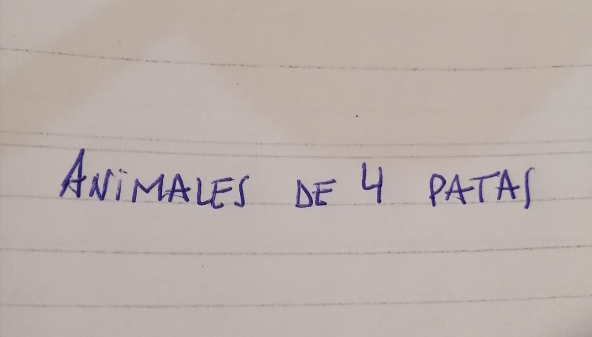 natiponce1970's tweet photo. La maestra  pidió  que escriban animales de 4 patas.

Él, se ubica dentro de la condición del espectro AUTISTA 
Su  mundo  es concreto y literal.
Lo que resulta claro para UNO, puede no resultar claro  para OTROS

Una Sociedad más inclusiva la construimos día a día, entre TODOS! https://t.co/HYjwcRno7j