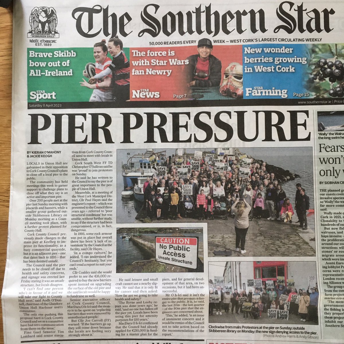 Angela Brady Design tweet media