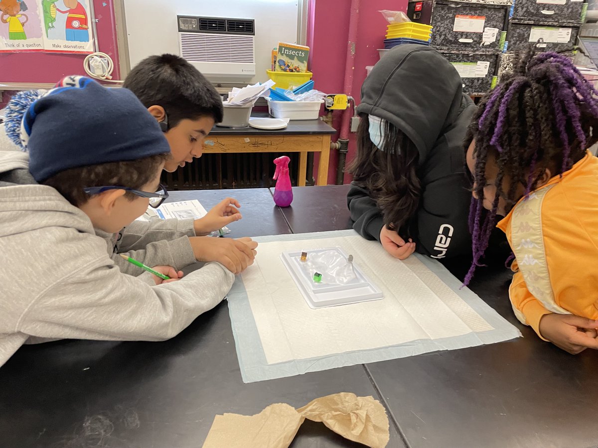 Science Engineering Education Development (SEED) tweet media