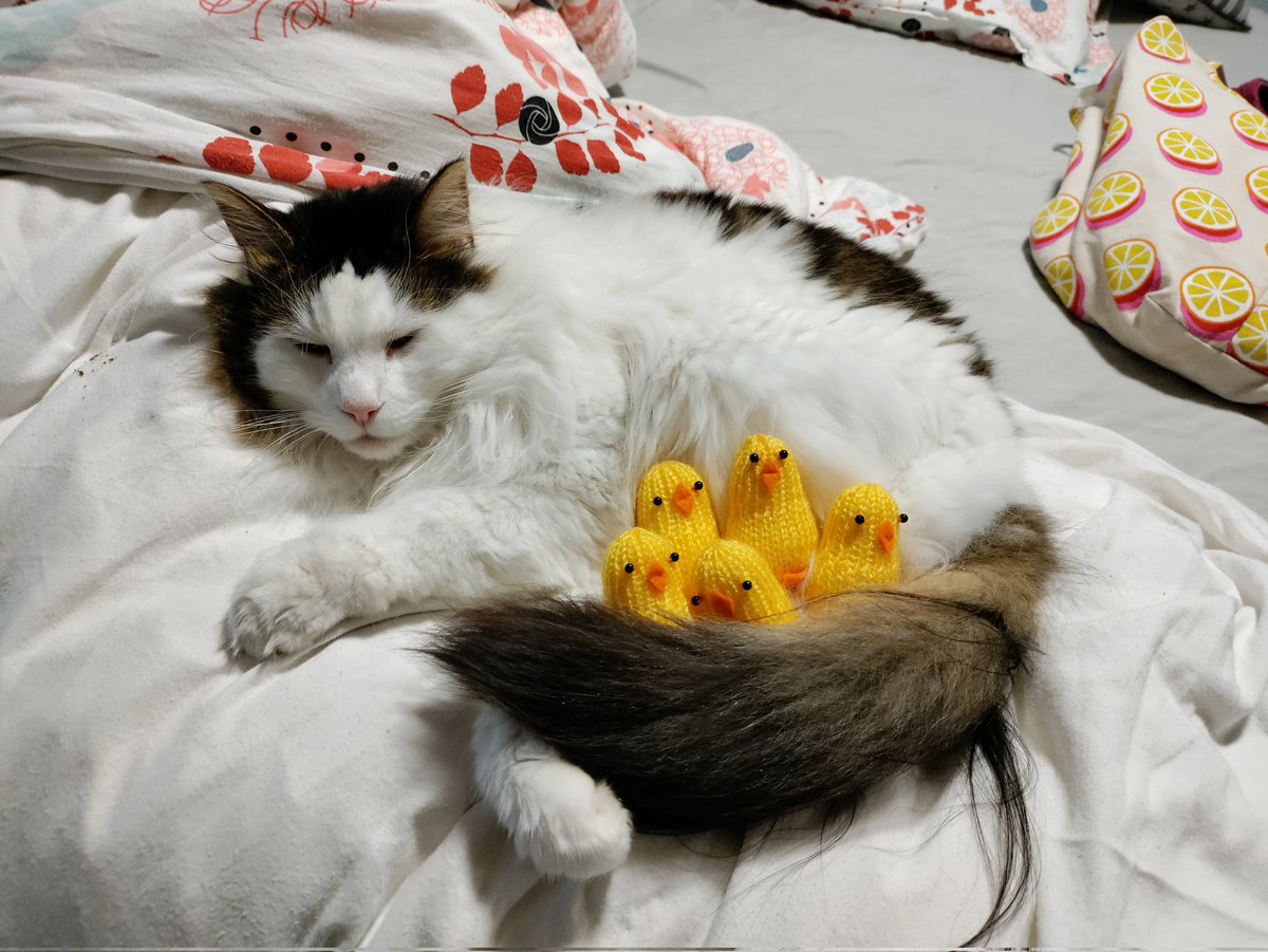 fluffy Proppy tweet media