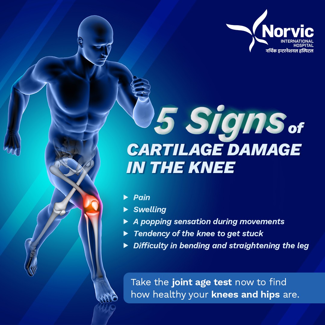 HospitalNorvic's tweet image. 🦵💔 Ouch! Dealing with some serious cartilage damage in my knee?
 😩 Anyone else experienced this before? 
Take a test at Norvic International Hospital
#Norvic #NorvicCares #KneeProblems #CartilageDamage