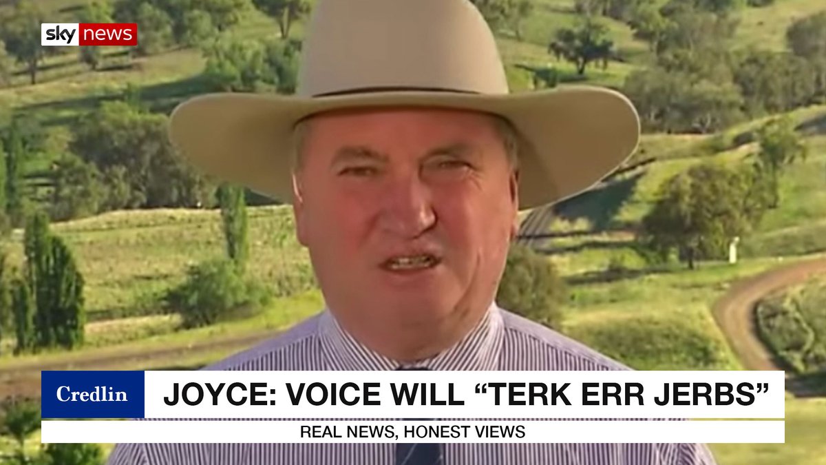 Former Nationals leader Barnaby Joyce has warned Anthony Albanese's woke Canberra-Sydney-Ardern-Andrews Voice will “take our jobs” and all Australians “could be forced” to become gay, intellectual or vegetarian if the yes vote is successful.