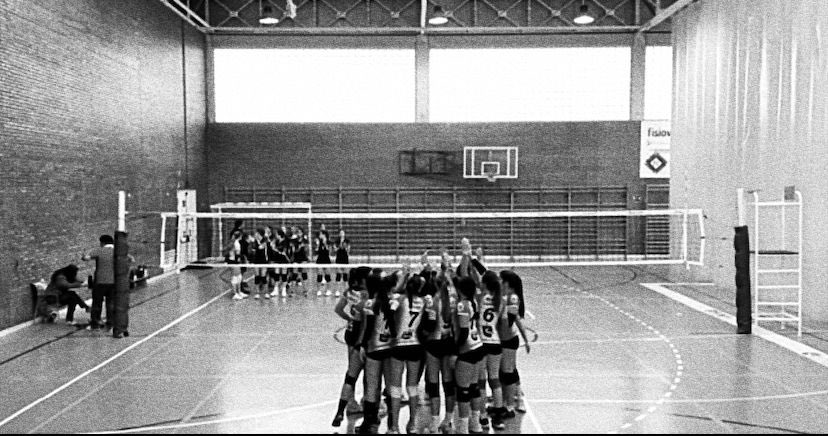 Club Voleibol Sanse tweet media