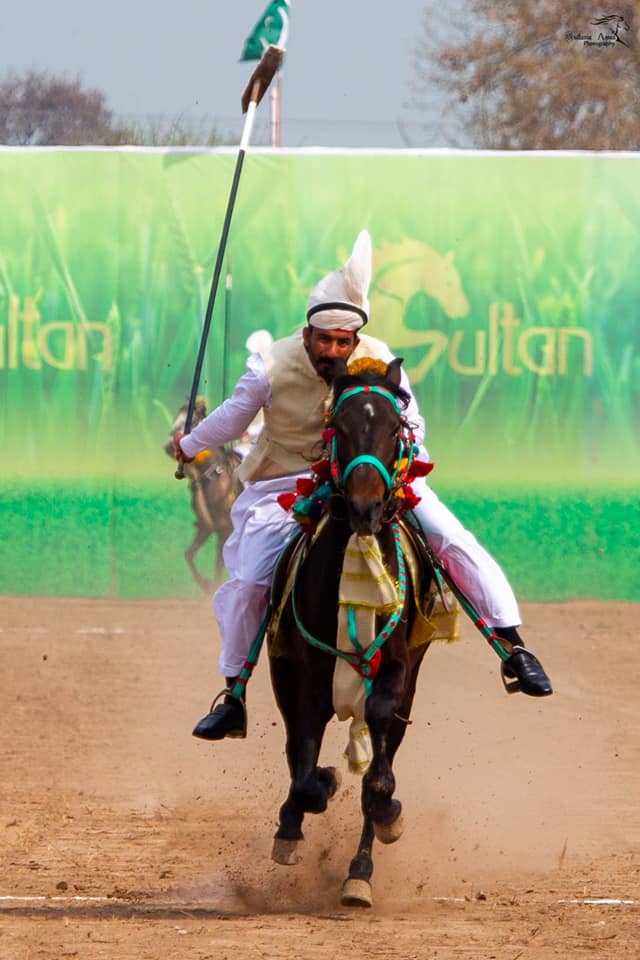 سالانہ سلطان نیزہ بازی ٹورنامنٹ کے دوران سوار کلہ اٹھاتے ہوئے
#Sultan_Tentpegging_Tournament