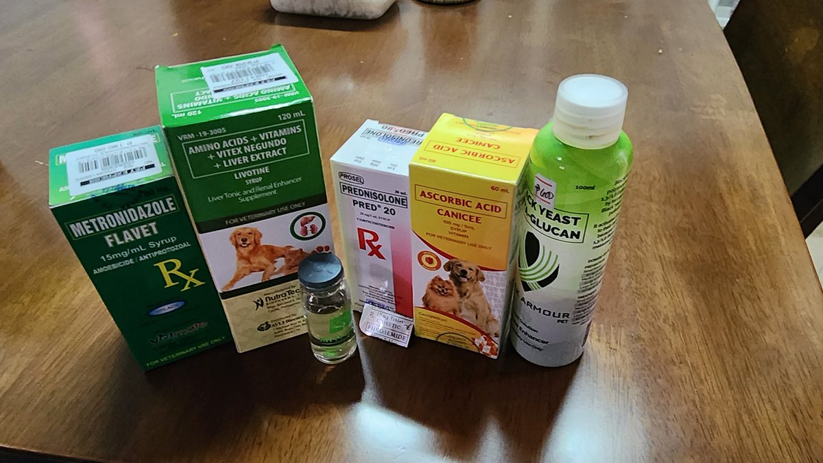 epeiphanyjin's tweet photo. Togepi is home! Decided to take care of her at home and give all her meds religiously.💜

She is 4mos old and still soo small. I have to inject her 2nd dose of GS by myself tanayt!

I have 99.9% confidence giving IV/SC/ID meds to any human being. But to a kitten? I have 🤏🤏🤏 😅 https://t.co/HoHJRXtXkU