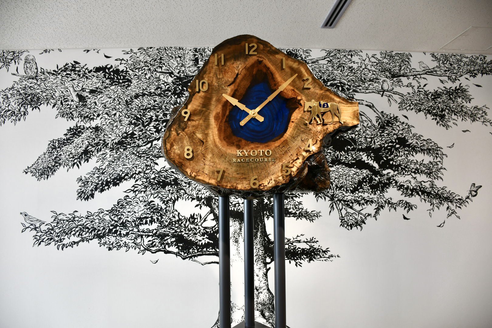 JRA京都競馬場 on X: 