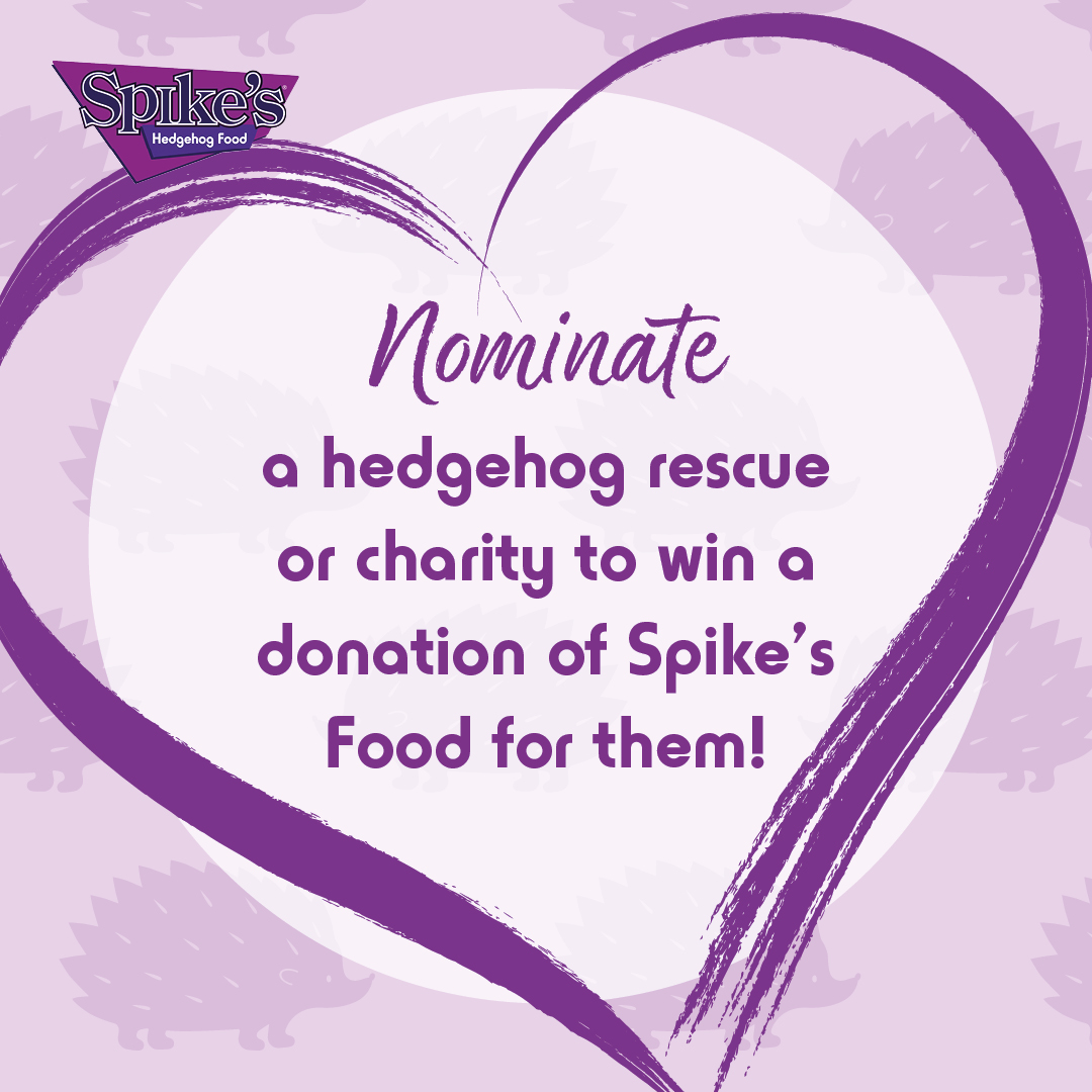 Spike's Food tweet media