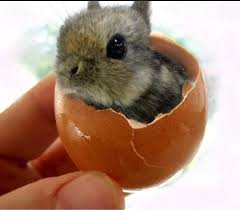 oeh no, eim laet ! for a bery imporbtant daet ! !
happi eepster!!