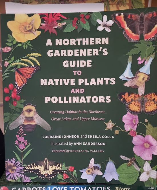“A Northern Gardener’s Guide to Native Plants and Pollinators, creating habitat in the Northeast, Great Lakes and Upper Midwest” by Lorraine Johnson and Sheila Colla, is even better than I anticipated. Learn more about the book on today's Garden Bite. 
gardenbite.com/new-book-revie…
