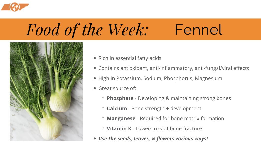 FOTW: Fennel 

#VolNutrition #RockyTopFuel #GoVols #FOTW