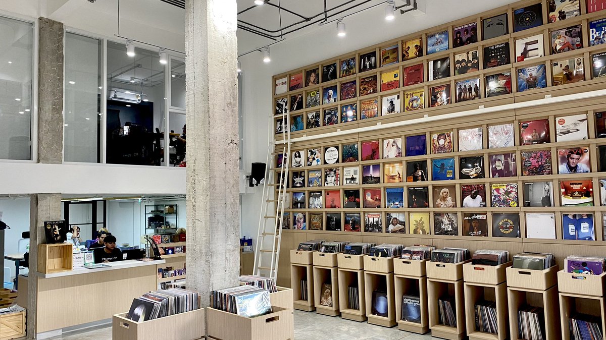 แมวบ้านพลัม tweet media