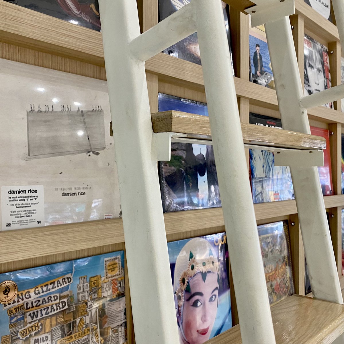 แมวบ้านพลัม tweet media