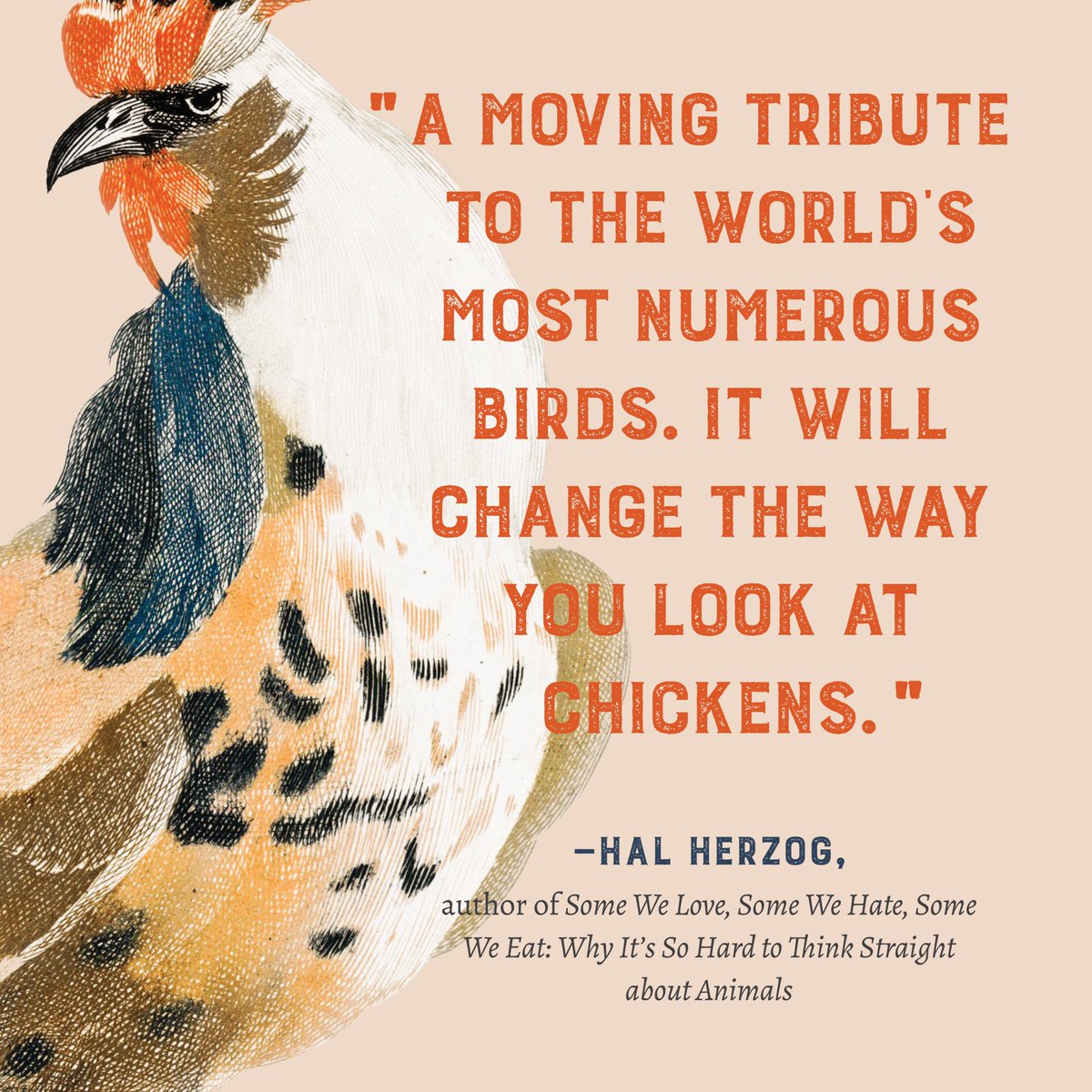 DC! Tonight! Me and @BeeBrookshire at @kramerbooks! My book is very much inspired by a love for backyard chickens but about the birds themselves and what we owe to all animals.