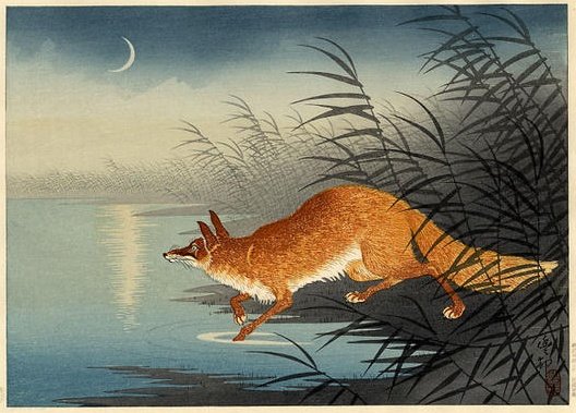 curiousordinary's tweet image. In #JapaneseFolklore there are many tales of supernatural shapeshifting foxes disguising themselves to trick humans. One story is known as The Fox Barber. In a village in Tottori Prefecture there lived a fox named Oton who loved to bewitch people...
#MythologyMonday #yokai
1/9