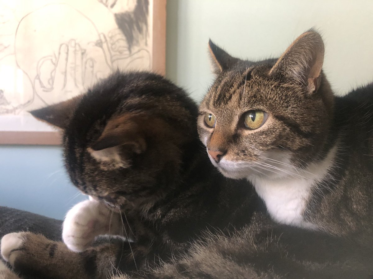 Marno (@sanddunequeen) on Twitter photo 