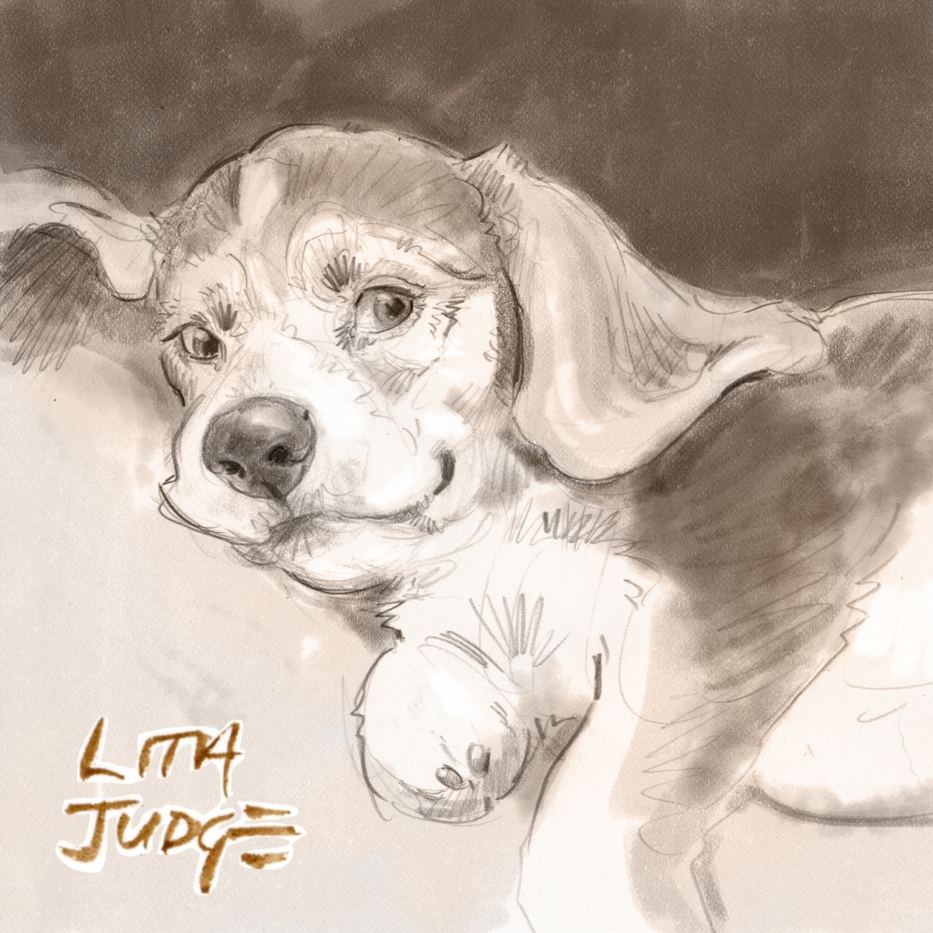 Another doggy sketch - this little fellow posed for an eventual illustration of my upcoming book, DOGS: A History or Our Best Friends).