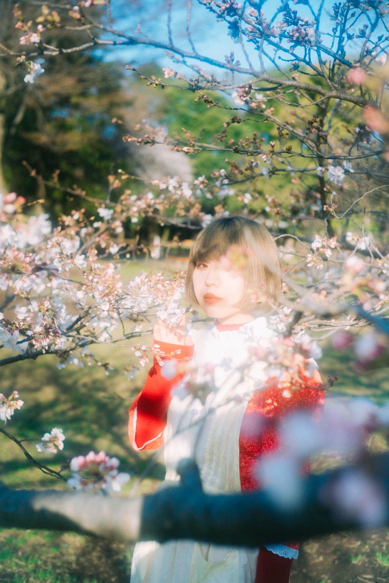 rinahosohata's tweet photo. 春と修羅 https://t.co/bqoyUwjliC