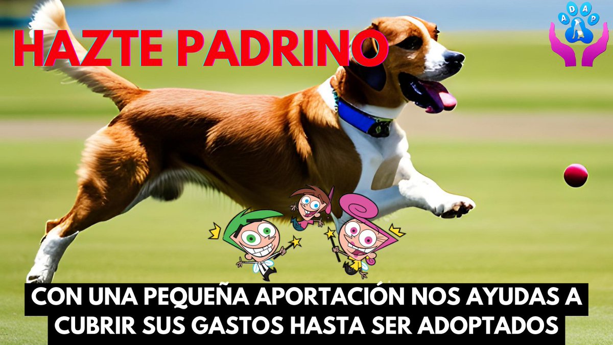 ¿Quieres ayudar a nuestros peludos y no sabes cómo?

Hazte padrino de alguno de los caninos y ayúdale hasta que pueda encontrar un hogar.

adap-penedes.org/s58-padrinos