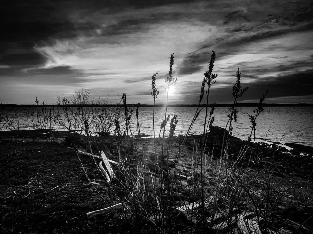 jimfeldman's tweet photo. A #blackandwhite morning over #NarragansettBay. #sunrise #dawn #RhodeIsland #Jamestown #onlyinjamestown #onlyinrhodeisland #monochrome #bnw #bnw_photography #blackandwhitephotography #bnw_photo #bnwphoto #bnwphotography #bnw_greatshots #bnwcaptures #bw #… https://t.co/04a7LIA51D https://t.co/cTdgoviEIl