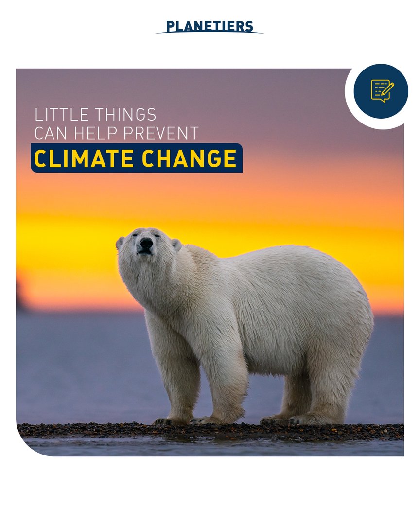 Small scale actions to help prevent climate change
It‘s no easy task, but each of us can do our part. Check out the 5 simple advices from LeilaTexeira, activist, writer, journalist and publisher, in our blog post ☟
planetiers.com/article/preven…