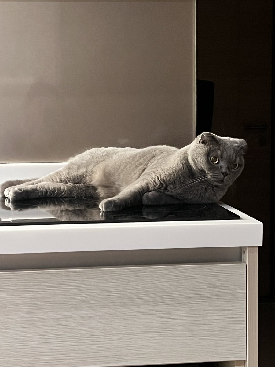 BobbyBlue_63's tweet photo. Ma furvarite place is kitchen meow✨ https://t.co/15ngCa4rBJ
