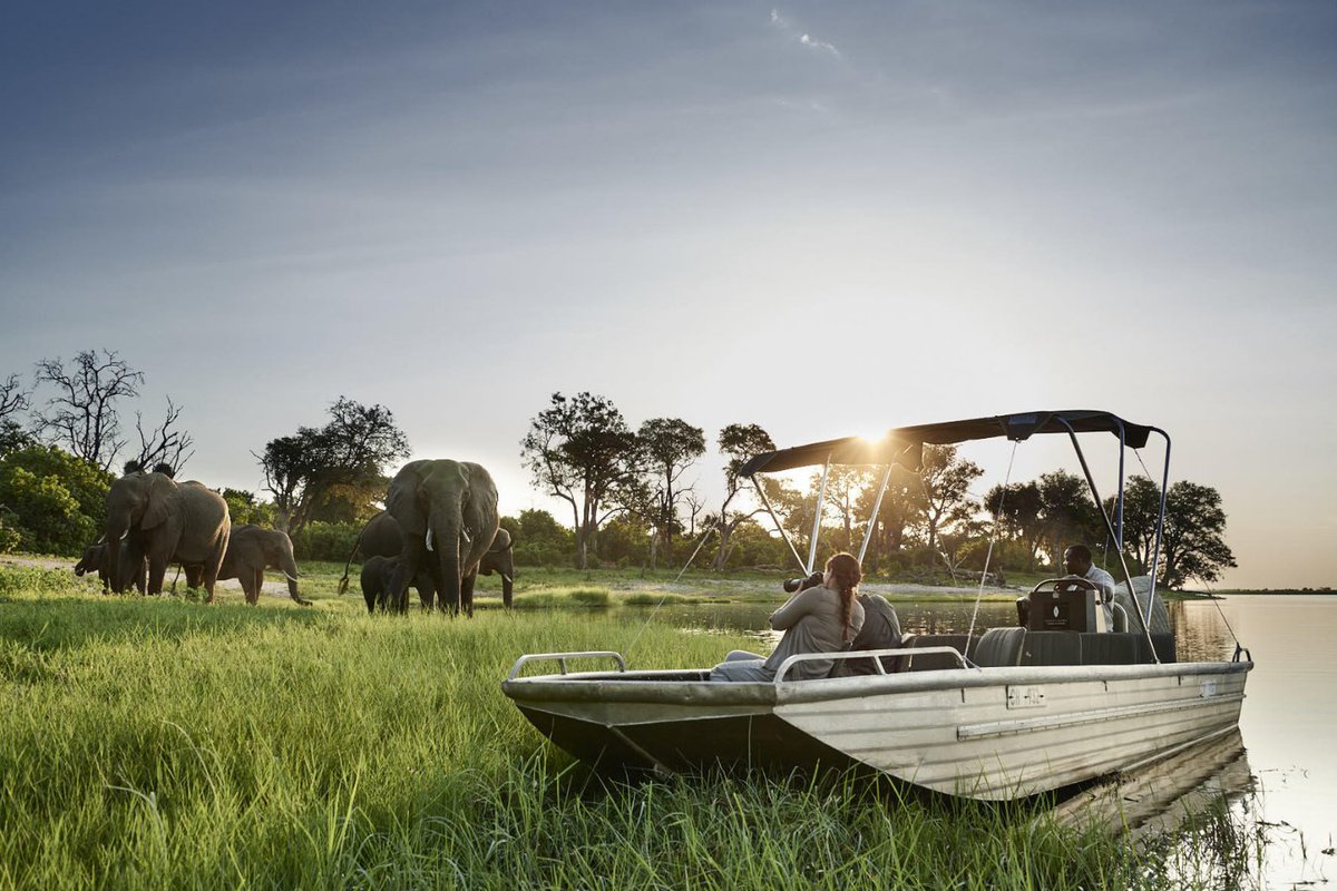 Luxury Botswana Safaris in #Chobe are one of the most popular activities in the diverse wonderland that make up this central southern Africa state.

📸 @sanctuaryretreats

#Vayenitravel #luxurytravel #sanctuaryretreats #luxuryresort #visitafrica #Botswana #ChilweroLodge #vayeni