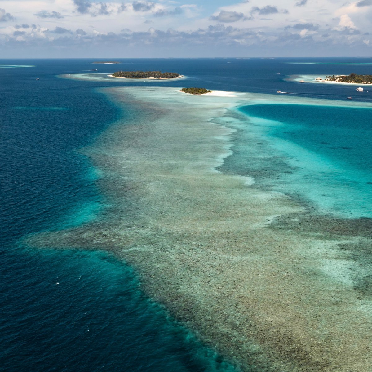 Located close to the infamous Hanifaru Bay, our guests are sure to enjoy adrenaline gushing experiences from swimming with the Mantas to snorkeling with turtles.

#maldives #hanifarubay #snorkeling #bucketlist #visitmaldives