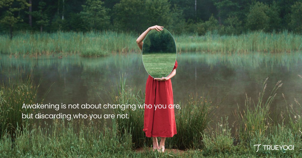 Trueyogi tweet media