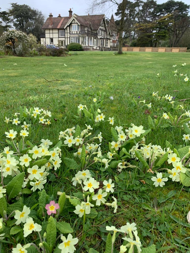 Enjoying being at my dad's, just had a lovely walk down to the beach and around the garden! Still plenty of spring flowers &amp; bulbs.