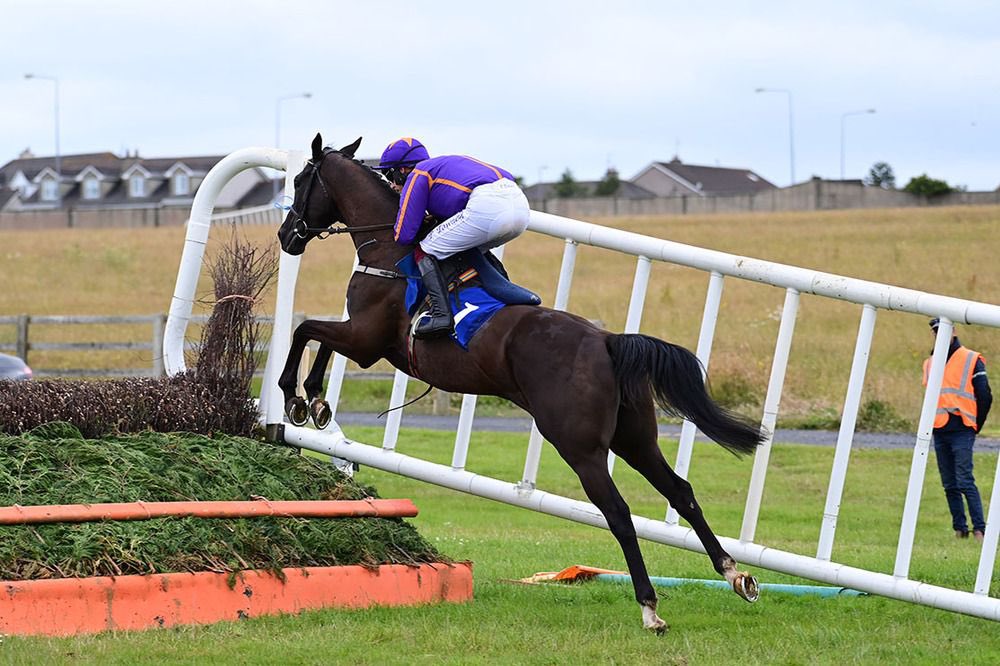 BenBeard2's tweet photo. 💷 If Easy Game wins the 16:20 at Fairyhouse today I’ll give one of you £40 in CASH! 

To Enter Simply ⬇️

1️⃣ RT this Tweet 🔄
2️⃣ Like this Tweet ❤️ 
3️⃣ Follow @BenBeard2 

YOU MUST follow the account to be in with a chance!

#horseracing https://t.co/9k6tYBPYrN