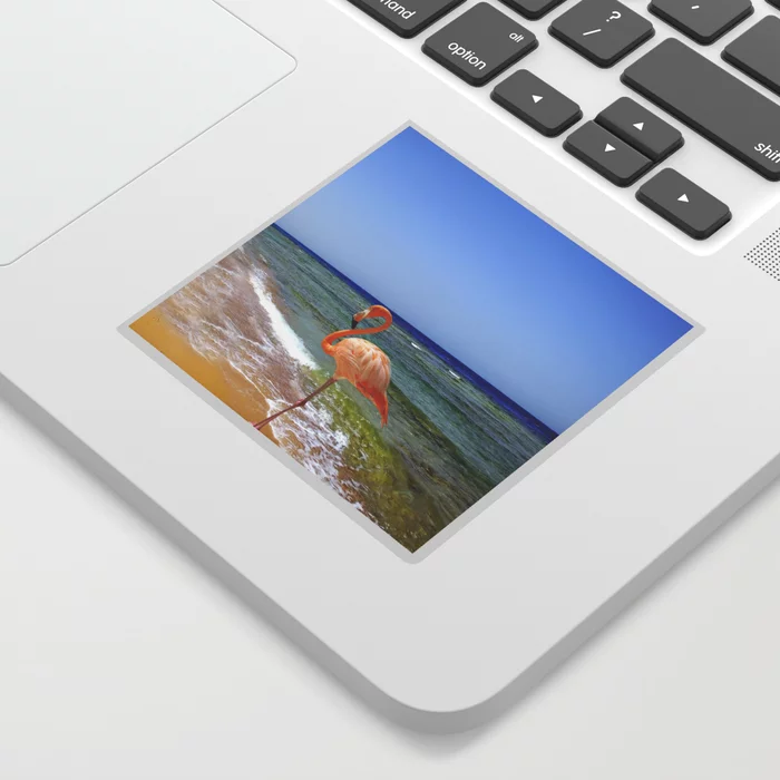 HurmerintaArt's tweet photo. Flamingo On The Beach Stickers.
All are 50% off list price!
#decoration
#stickers
#funidea
#laptopdecor
#phonedecoration
https://t.co/XkZIbU8Ll9 https://t.co/mQw5Lzd1oh