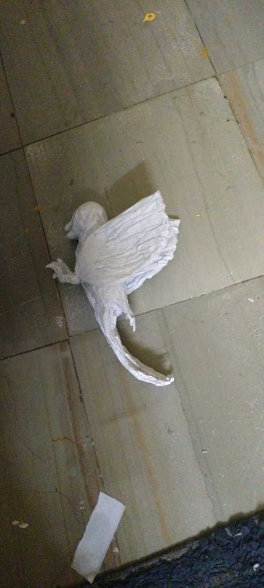 Working on my new painting. Work in progress. Made this bird that will be flying towards the nest. The question is what does this bird look like and what color should I paint her. I have firey red with hues of orange and yellow in mind.