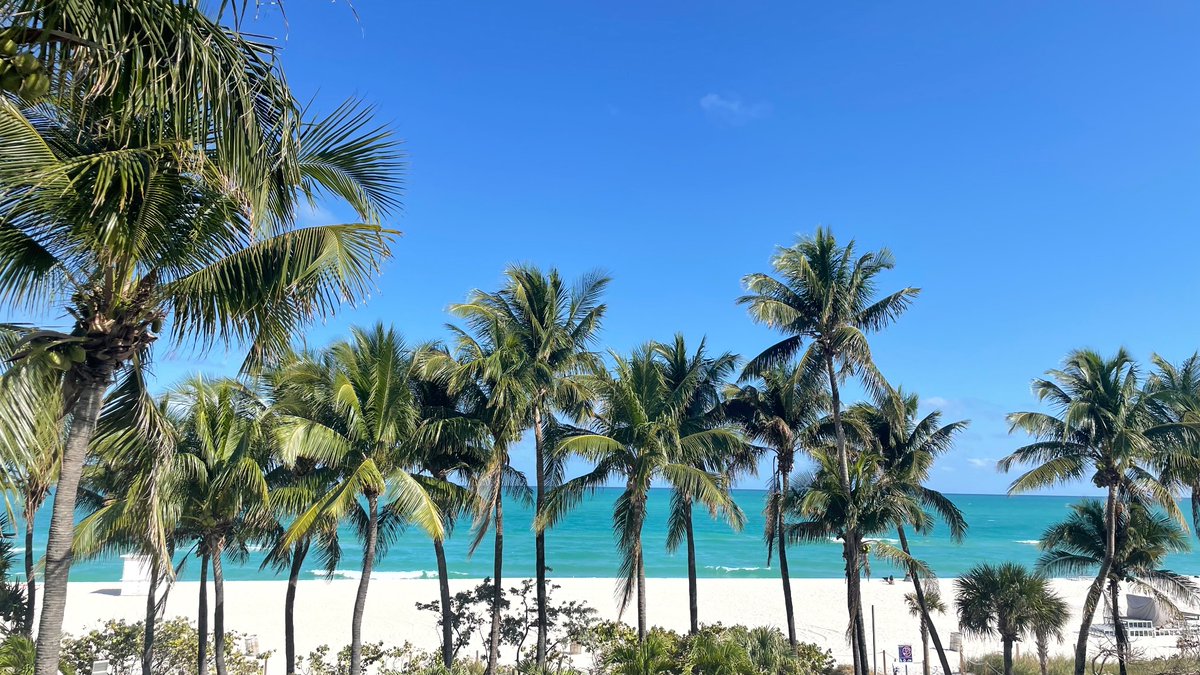 Being the young attendee among legends at my first #MaculaSociety in #Miami 
feels truly humbling 🙏🏼 Joining along with my <a href="/MassEyeAndEar/">Mass Eye and Ear</a>/<a href="/HMSeye/">Harvard Ophthalmology</a> #Retina mentors and getting to know my upcoming mentors <a href="/Stanford/">Stanford University</a>/@ByersEye. The journey continues !