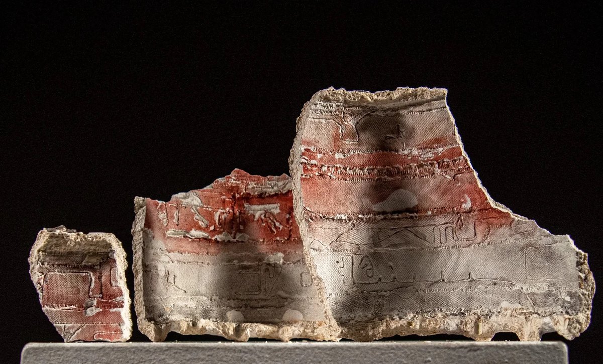 MFA Thesis Exhibitions open at Ewing Gallery: Delany Bal, Sean Heiser, and Noah Lagle #knoxrocks #free #mfa #knoxville - mailchi.mp/1c9df35143a7/m…