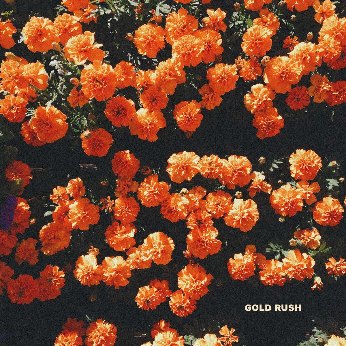 AbsoluteAMusic's tweet image. Hablamos del artista Jack in Water o lo que es lo mismo William Clapson y su single 'Gold Rush' absolutealternativemusic.blogspot.com/2023/04/jack-i…