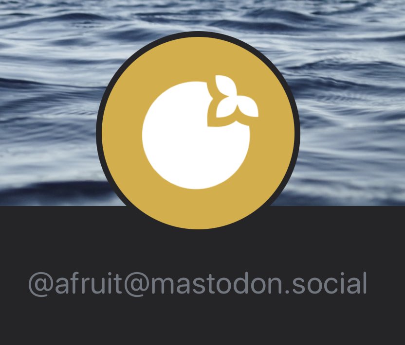 Aaron Fruit tweet media