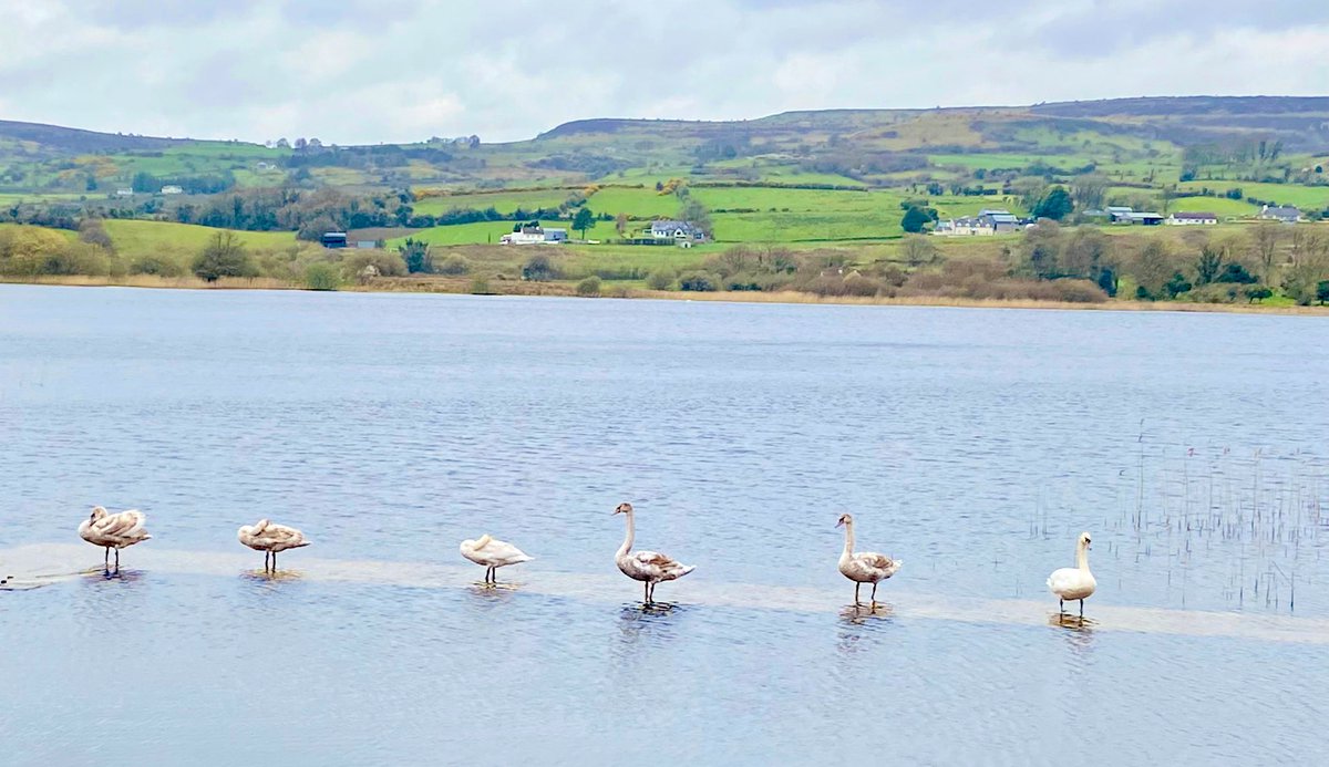 #heartofsligo The lovely Lough Arrow