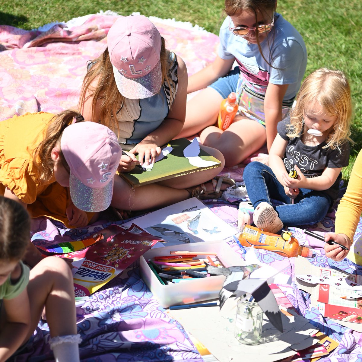 Signal Film & Media tweet media