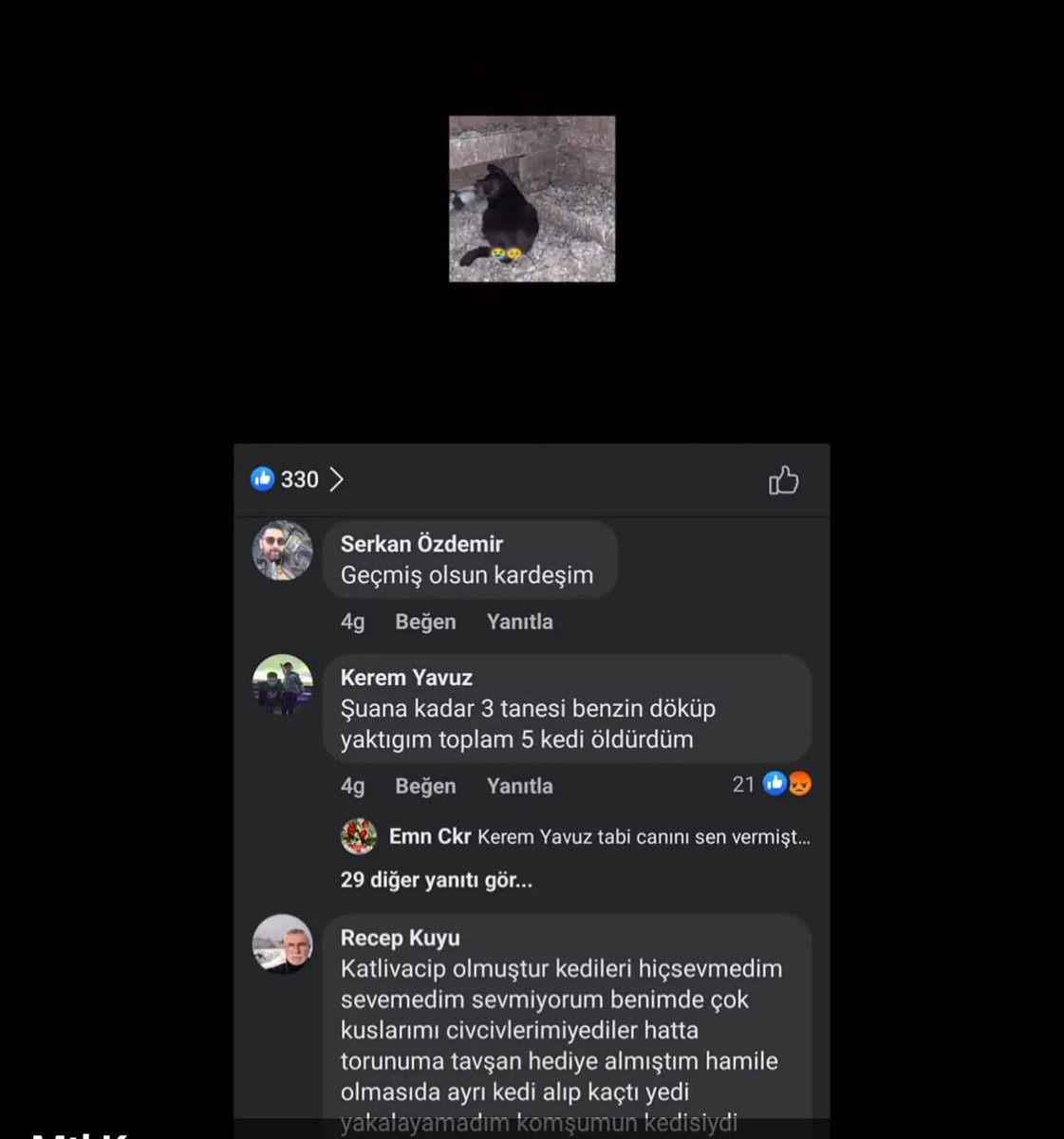 HilalBasaslan's tweet photo. Benzin döküp,kedileri yaktığını Facebook’ta yazan KEREM YAVUZ isimli cani hakkında  işlem yapacak mısınız? Suçunu bizzat itiraf etmiş ,adı soy adı hesabı ortada! @EmniyetGM  @SiberayEGM @haydarozkan06 
Caninin Facebook hesabı :
https://t.co/oWdgwKdNBt https://t.co/CPEpLvwYwl