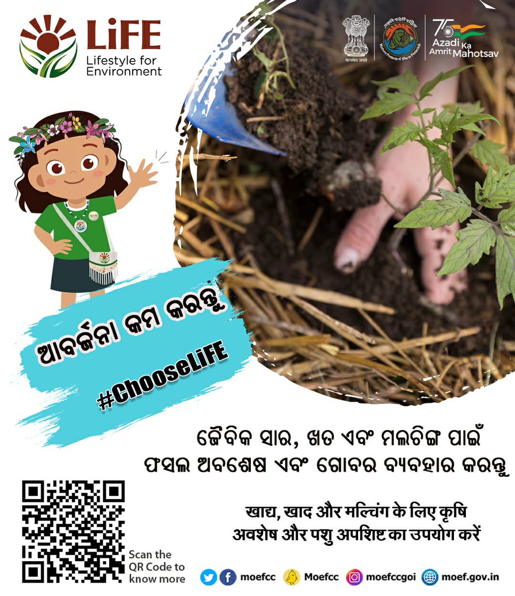 CBC,FO-Berhampur Odisha tweet media