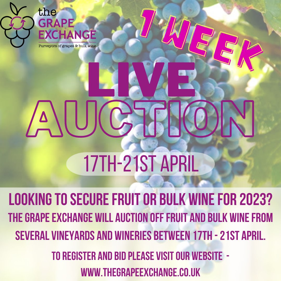 infothegrapeex1's tweet photo. 🍇Looking to secure fruit or bulk wine for 2023?🍇

1 week left until our auction is LIVE!

To register and bid please visit our website:
https://t.co/arvy06qDUs

For more information, email:
info@thegrapeexchange.co.uk https://t.co/868RouDaVU