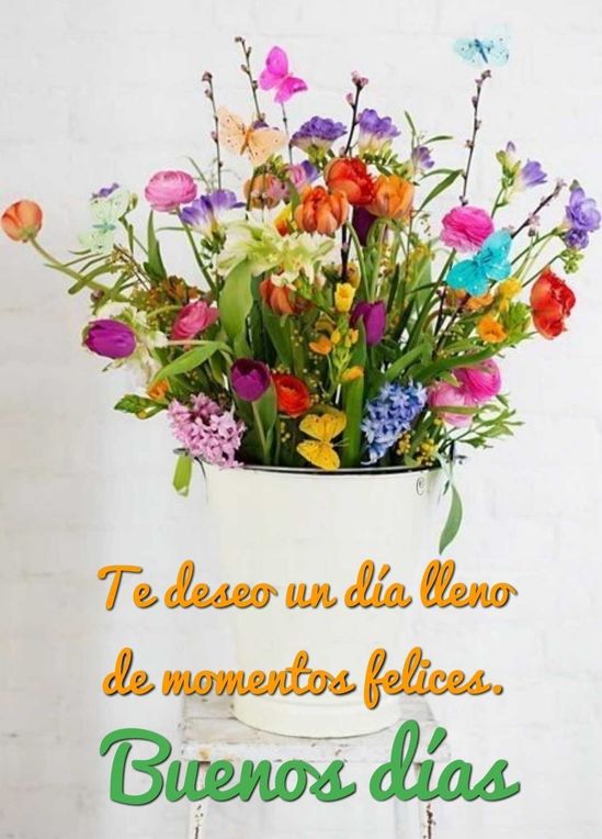 Buenos días #EsteEsMiPaís <a href="/Mendoza_Robert1/">🛜Robert Mendoza💙💙⚓</a>
<a href="/Alondra82590574/">unidos somos más</a> <a href="/Andreinariosort/">Andreína Ríos Ortega</a> <a href="/ArturoP09904326/">Arturo Perez</a> <a href="/Carol18ing/">🇻🇪 Carol 🌹</a> <a href="/guerra3_ortega/">Ortega Guerra</a> <a href="/Yaneth050025741/">Yaneth Ortega</a> <a href="/yolvi_medina1/">Yolvi Medina</a> <a href="/RamirezYenexi/">yenexi Ramírez</a> <a href="/Josefinc055/">Josefina</a> <a href="/JoniYene1/">Joniel González</a> <a href="/Aliciam57521954/">Alicia machado</a> <a href="/Hernanhernan53/">Hernán Hernández</a> @SaidVergel_A <a href="/IYaracuy/">Infocentro Yaracuy</a> <a href="/jorgesu98415080/">jorge sulbaran</a>