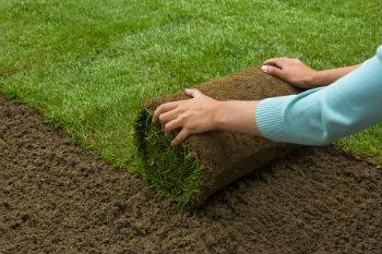ALGLLabs's tweet photo. What does soil testing look like in athletic turf? We looked to the Sports Field Management for more information.
Learn more: https://t.co/lQwhPZ8waR
#agronomy #soilanalysis #algl #agriculture #greenindustry #athleticturf https://t.co/1wKtZsyDrt