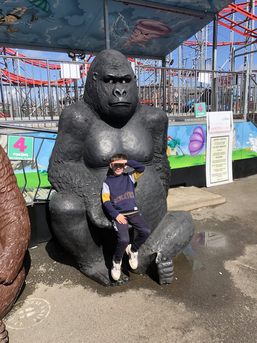 mark_aperry's tweet photo. I’ve spotted Gary the gorilla at Barry island https://t.co/qxKyKnXima