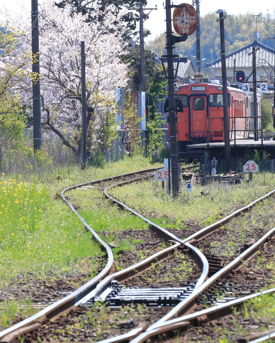 kmatsuPhoto1's tweet photo. 🚃小湊鐵道🚃
キハ４０，上総牛久駅にて

#小湊鐵道 #キハ４０ 
#首都圏色 #気動車 #鉄道写真 
https://t.co/HKoQVQRPXe https://t.co/0qsAjHhYAH
