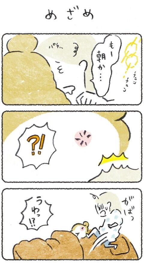 記事が追加されました🌟🐕 