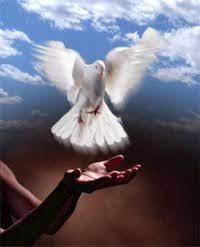 There will be a charity for children with cancer, if you don't mind, you can send it here

metamask.app.link/send/0xe45A12a… - 
for one payment

0xe45A12ae687dC514f5574Dae3815198fEe167255 - for any amount.

I hope you can help these little creatures

#charity #kids #Cancerpatients