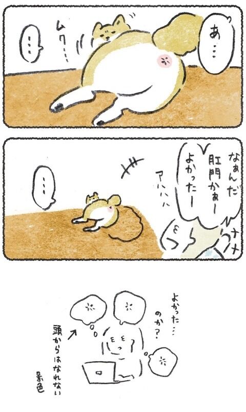 記事が追加されました🌟🐕 