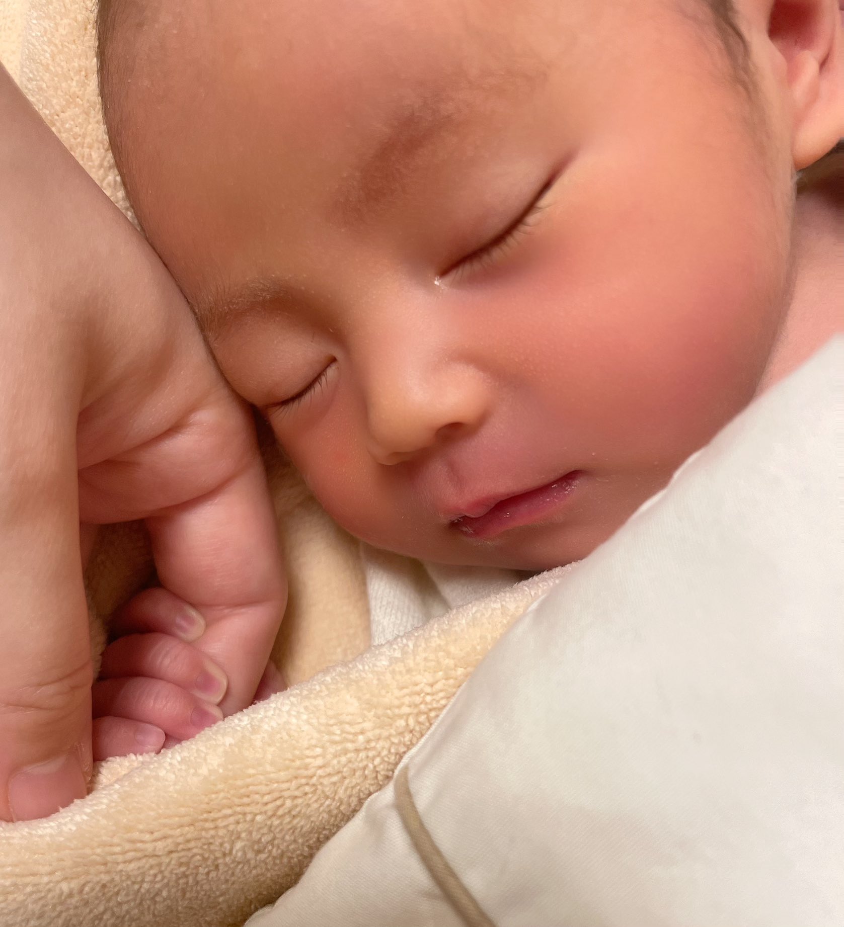 [閒聊] 西明日香順利生產