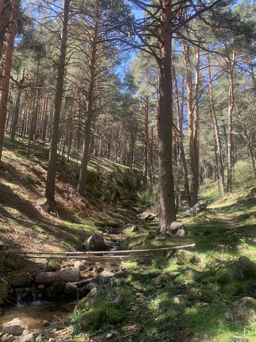 tripsstworld's tweet photo. Cercedilla, Spain 📍 https://t.co/3iyBi1iLrs